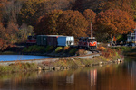 01-20091105-420204365-_MG_6515.jpg