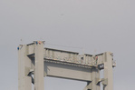 A closeup of the top of the east tower