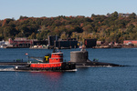 20081020-_MG_4399.jpg