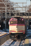 20090131-_MG_9312.jpg