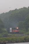 Providence & Worcester train NR-2 passes by Red Top in Ledyard, CT as a seagull flies overhead