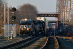 20091212-420204365-_MG_9524.jpg