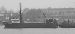 _MG_5368-02.jpg