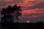 _MG_8665-01.jpg