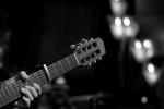 Steve Rodgers' guitar neck detail
