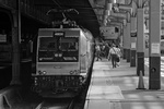20080715-_MG_3922.jpg