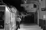 20080715-_MG_3935.jpg