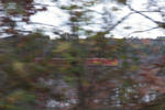 Pacing NR-3 through the trees on Route 12 along Clayville Pond