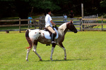 20090816-_MG_4522.jpg