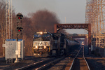 20110317-17-_MG_0205.jpg