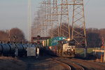 20110317-19-_MG_0231.jpg