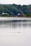 02-20110726-420204365-_MG_9179.jpg